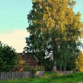 Березки дом