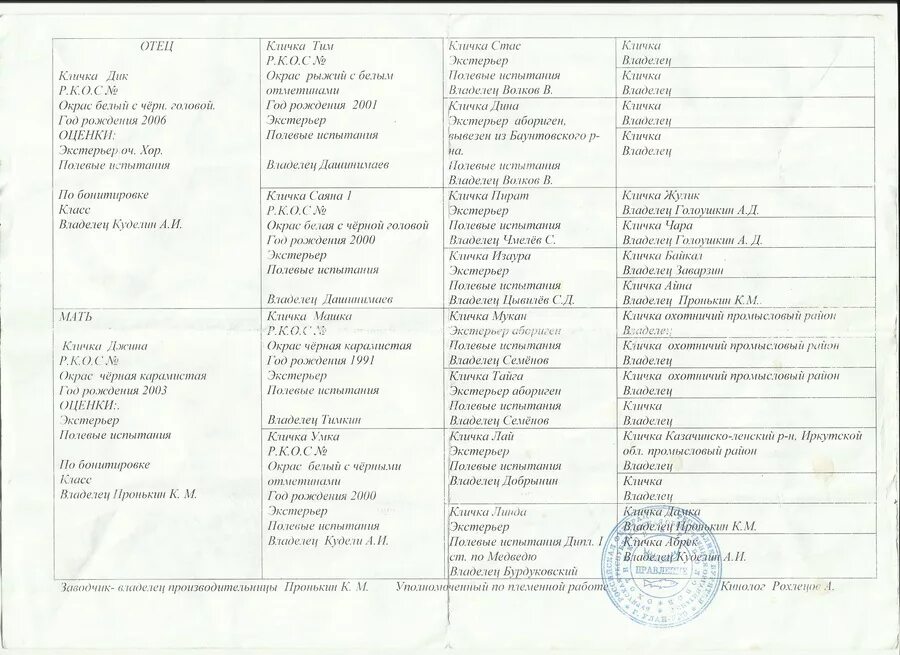 Клички для кабеля. Клички для собак. Клички для собак мальчиков. Клички для охотничьих собак девочек. Клички собак на к для родословной.