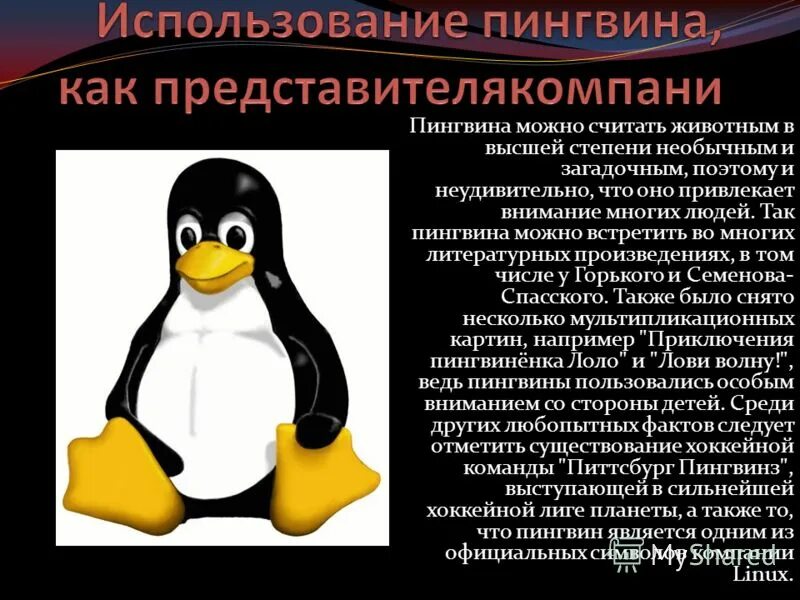 Как пользоваться пингвином для женщин