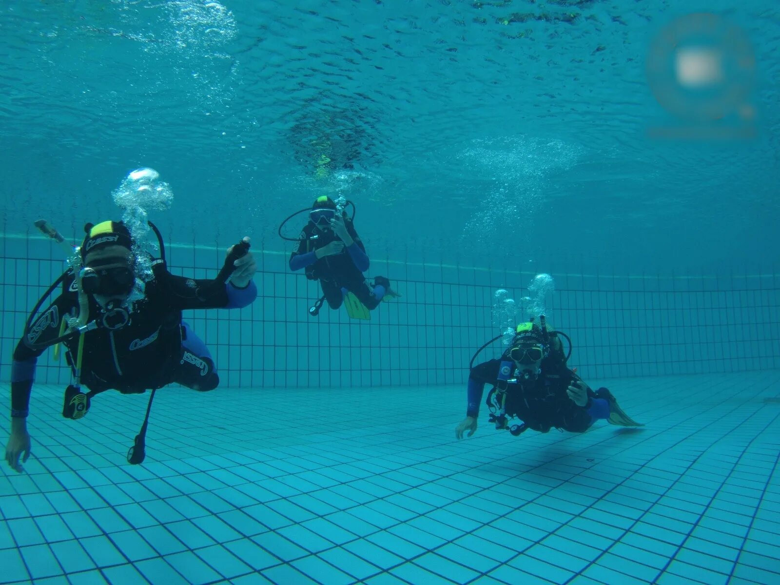 Diving pool. Дайвинг в бассейне. dive pool. the diving pool.