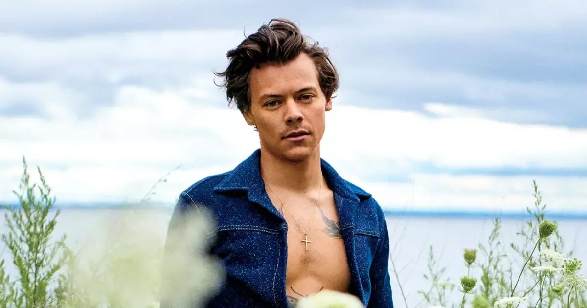 Dad harry. Певец гарри стайлс. гарри стайлс файн лайн. robert halkett. harry styles 2025.