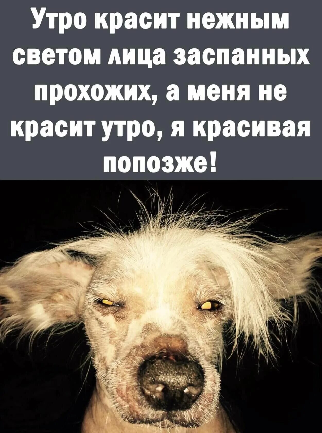 Песня утро красит ярким. Утро красит нежным светом лица заспанных прохожих. утро красит нежным светом лица. утро красит. утро красит лица заспанных прохожих.
