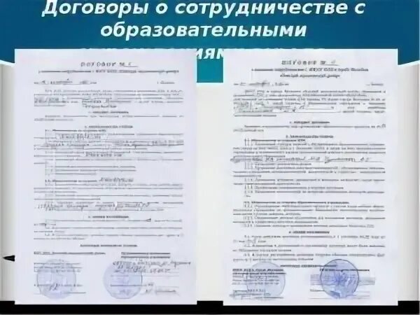 Договор между образовательной организацией