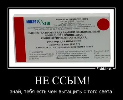 Сыворотка против гадюки обыкновенной