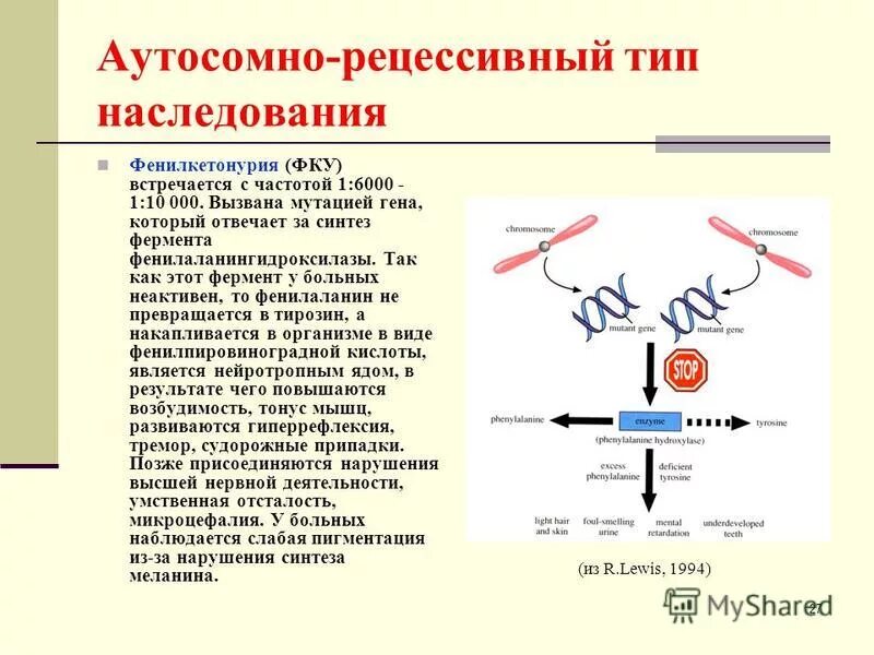 Ферментативный синтез