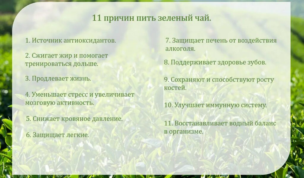 Полезные свойства зелёного чая. Польза зелёного чая для организма. Зеленый чай презентация. Плюсы зеленого чая. Вред зеленого чая.