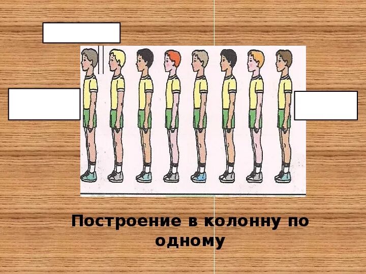 Построение в колонну. Построение детей в колонну по одному. Построение в шеренгу и колонну. Построение в шеренгу на физкультуре.