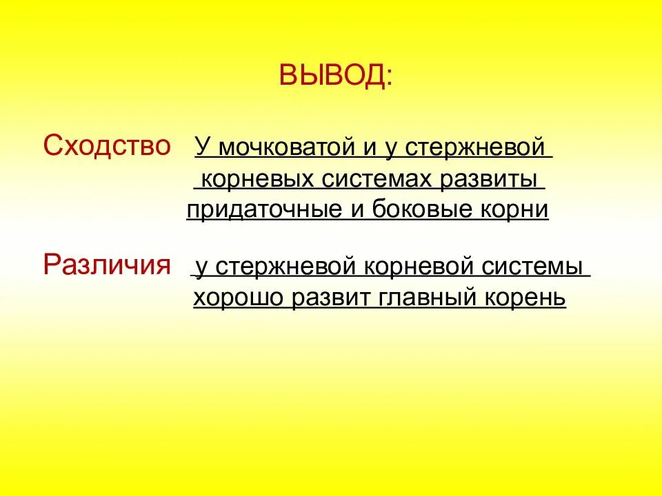 Сделайте вывод о сходстве и различиях. Различия стержневой и мочковатой корневых систем. сходства и различия стержневой и мочковатой корневой системы. вывод по стержневой и мочковатой корневых систем. сходства стержневой и мочковатой корневых систем.
