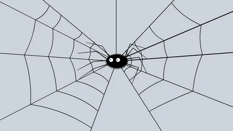What s web