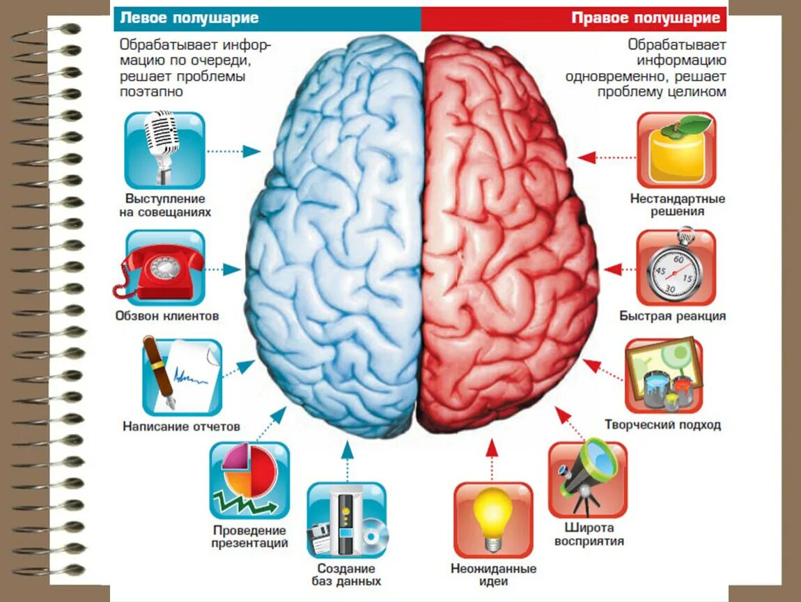 Решение brain. Полушария мозга. Развиваем левое полушарие мозга. Болит левое полушарие. Асимметрия полушарий головного мозга психология.