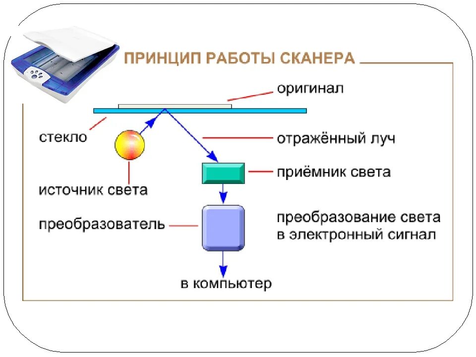 Принцип работы программ. Принцип работы сканера схема. принцип работы планшетного сканера схема. принцип сканирования планшетного сканера. принцип работы сканера 7 класс.