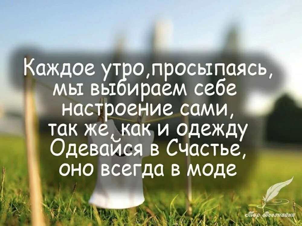 Как дела настроение картинки. Какой ты сегодня настроение. Как настроение картинки. Настроение травматическое. Как сам настроение.