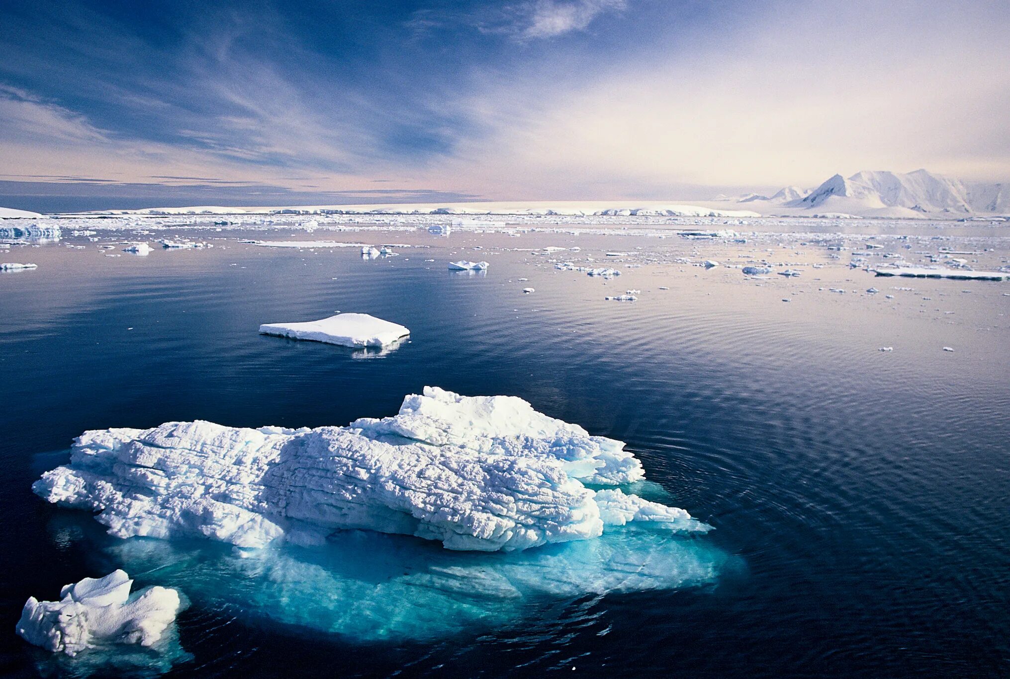 Море Уэдделла в Антарктиде. Озеро Уэдделла. Южный Ледовитый океан. Океан Северный Ледовитый океан.
