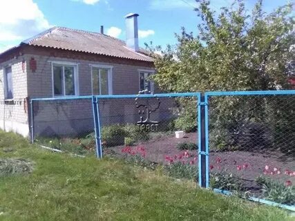 Н александровка