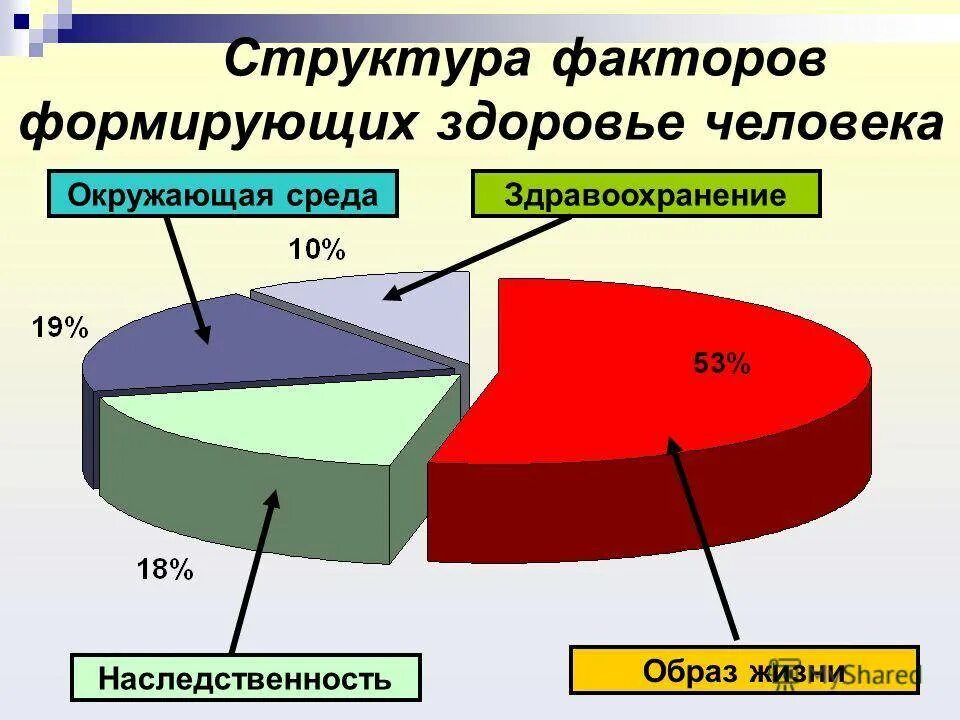 Заболевания зависящие от образа жизни