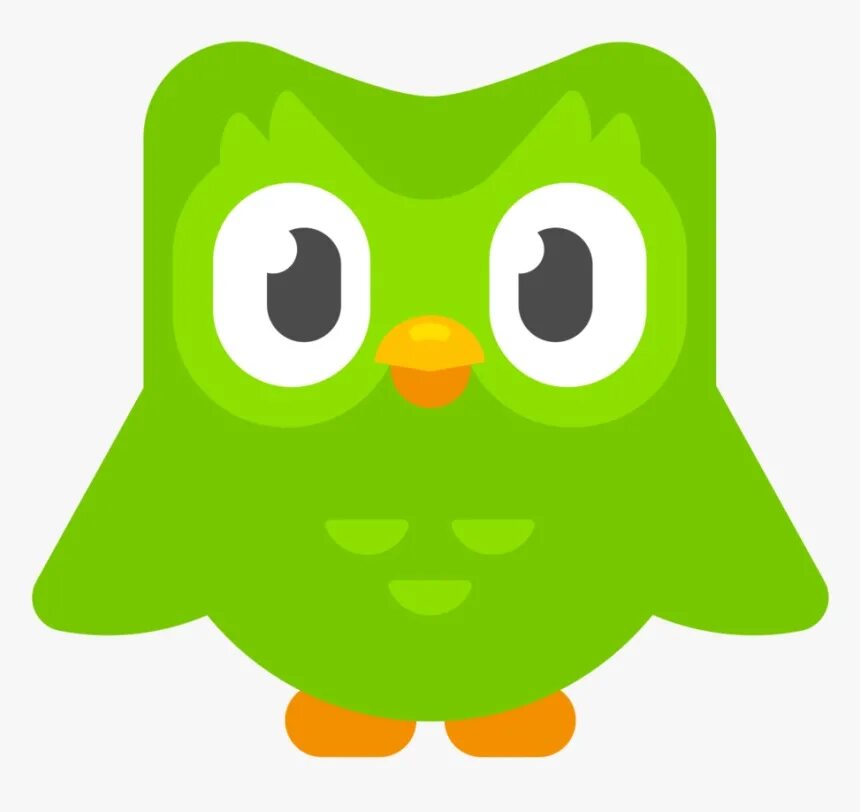 Грустный дуолинго. Duolingo сова. дуолинго дуо. совёнок из duolingo. duolingo сова злая.
