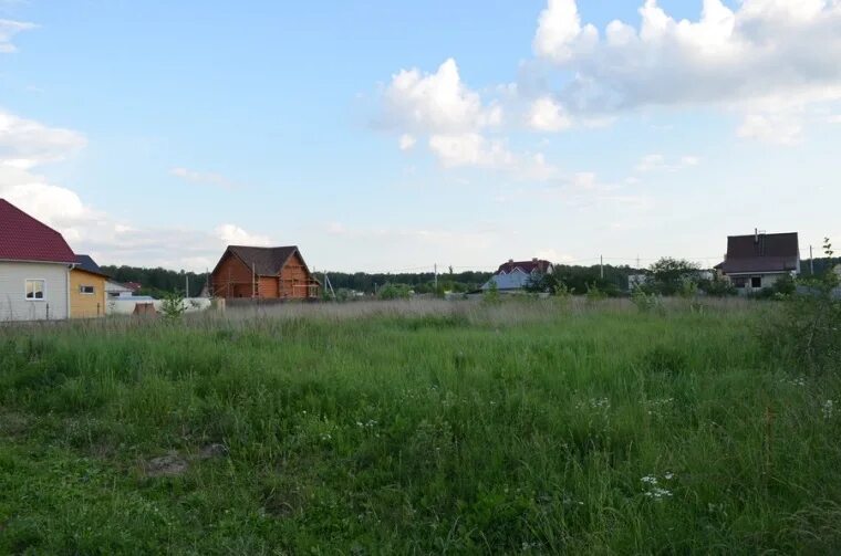 Деревня вельяминово. Вельяминово (городской округ Домодедово).