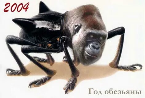 Обезьяна 2004