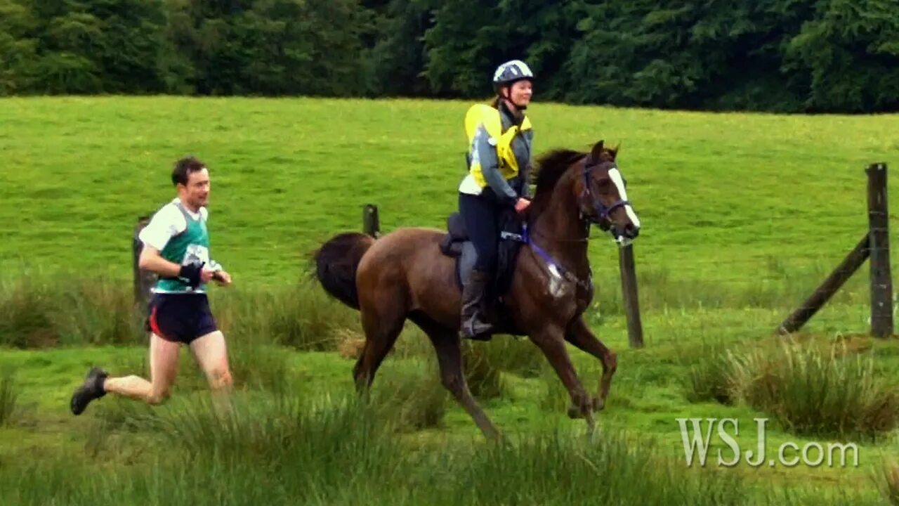 марафон человека против лошади.