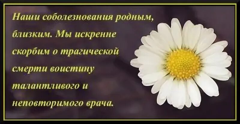 Что отвечают на соболезнования по поводу. Соболезнования по случаю смерти. Слова соболезнования. Выразить слова соболезнования. Соболезнования своими словами.