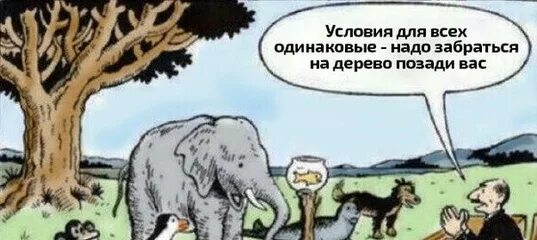 Я ко всем относился одинаково строго