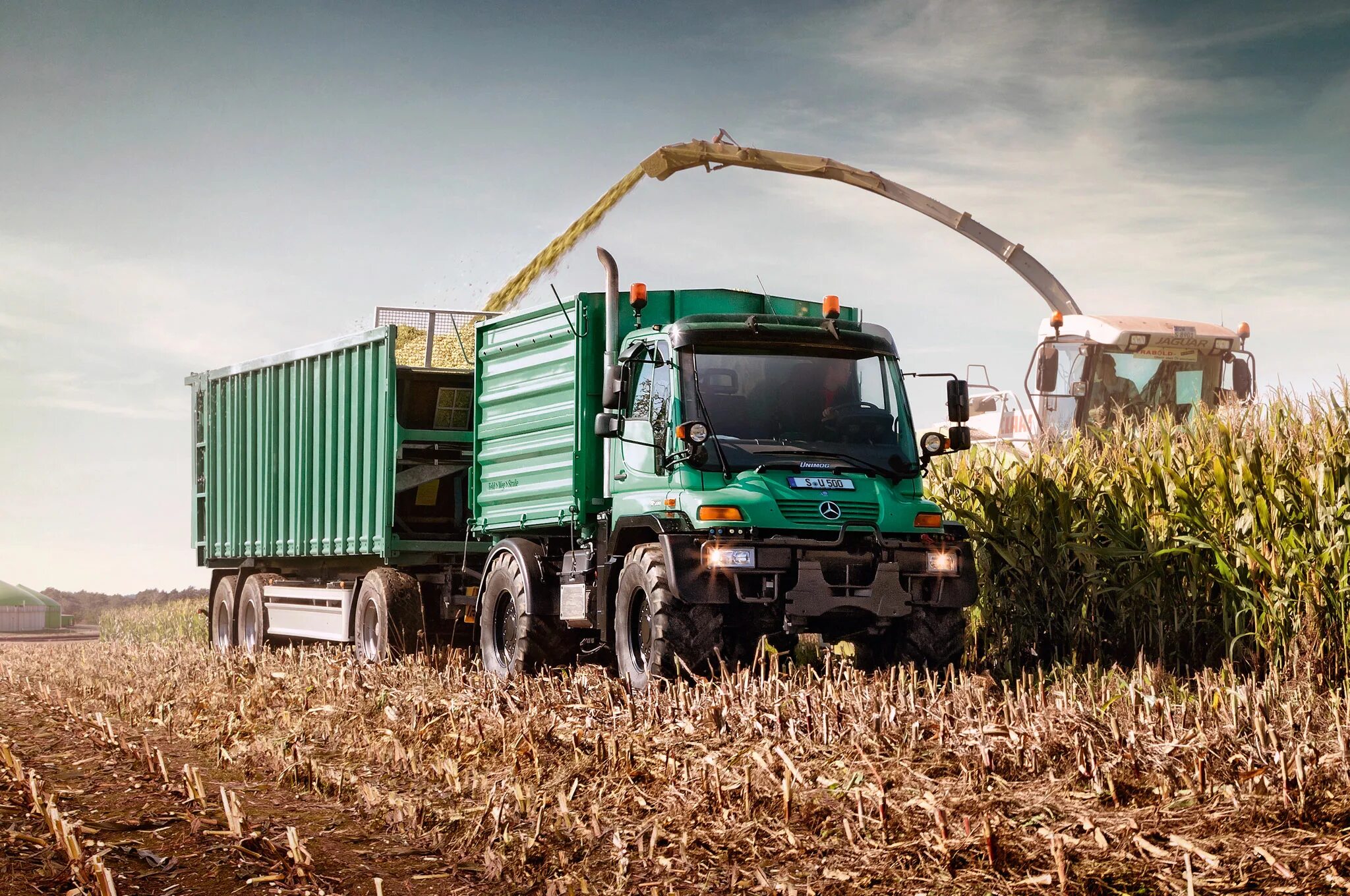 Грузовик с пшеницей. Импорт зерна. Перевозка сельхозпродукции автотранспортом. Доставка сельхозпродукции. Перевозка сельхозпродукции автотранспортом.