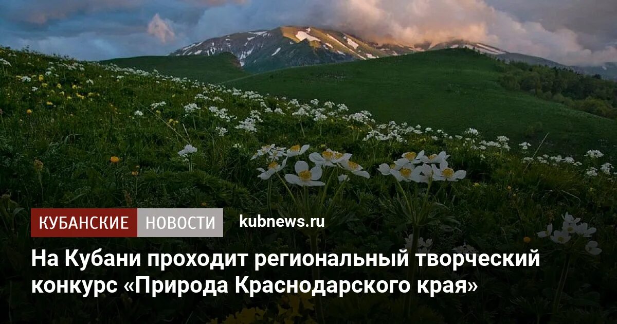 Какой будет март в краснодарском крае. Конкурс природа Краснодарского края. Страна Кубань природа. Конкурс "природа Краснодарского края, 2023" картины. Охрана природы Краснодарского края.