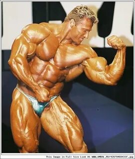 Gunter schlierkamp
