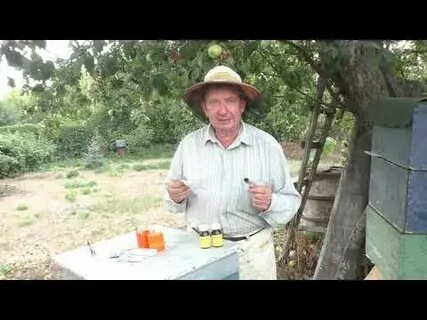 Обработки пчел видео