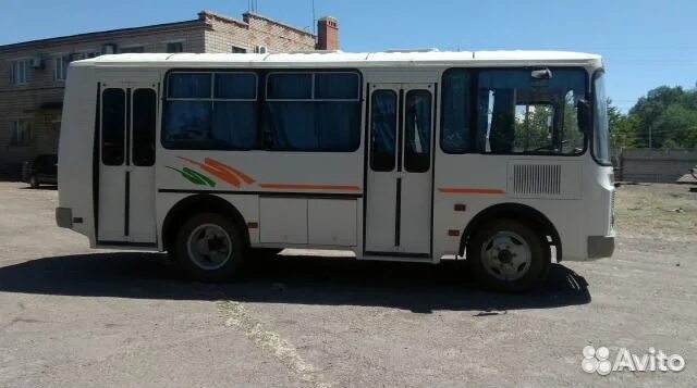 Автобус оренбург. 195 автобус оренбург. Паз вектор next 8. Автобус оренбург. Автобус оренбург.