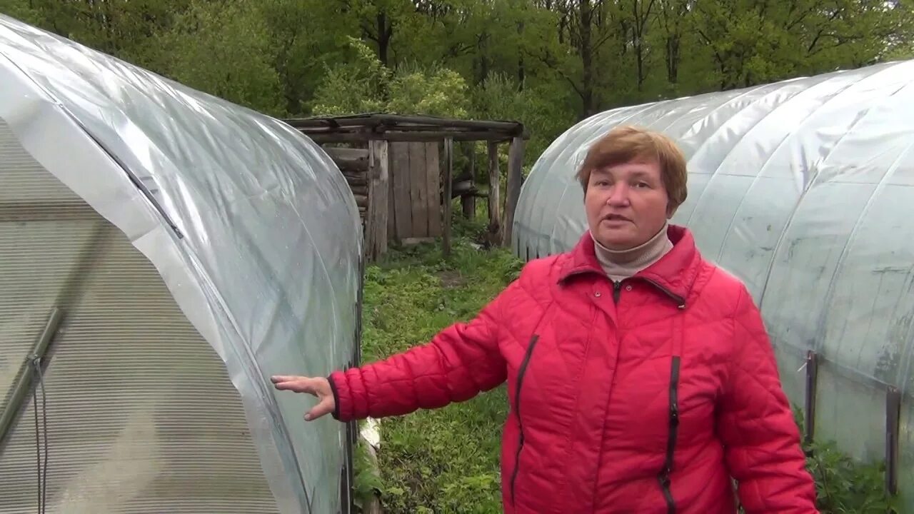 Нужно ли снимать пленку с теплицы. Теплица Светлица. Плёнка Светлица для теплиц. Теплица из пленки Светлица. Армированная плёнка для теплиц.