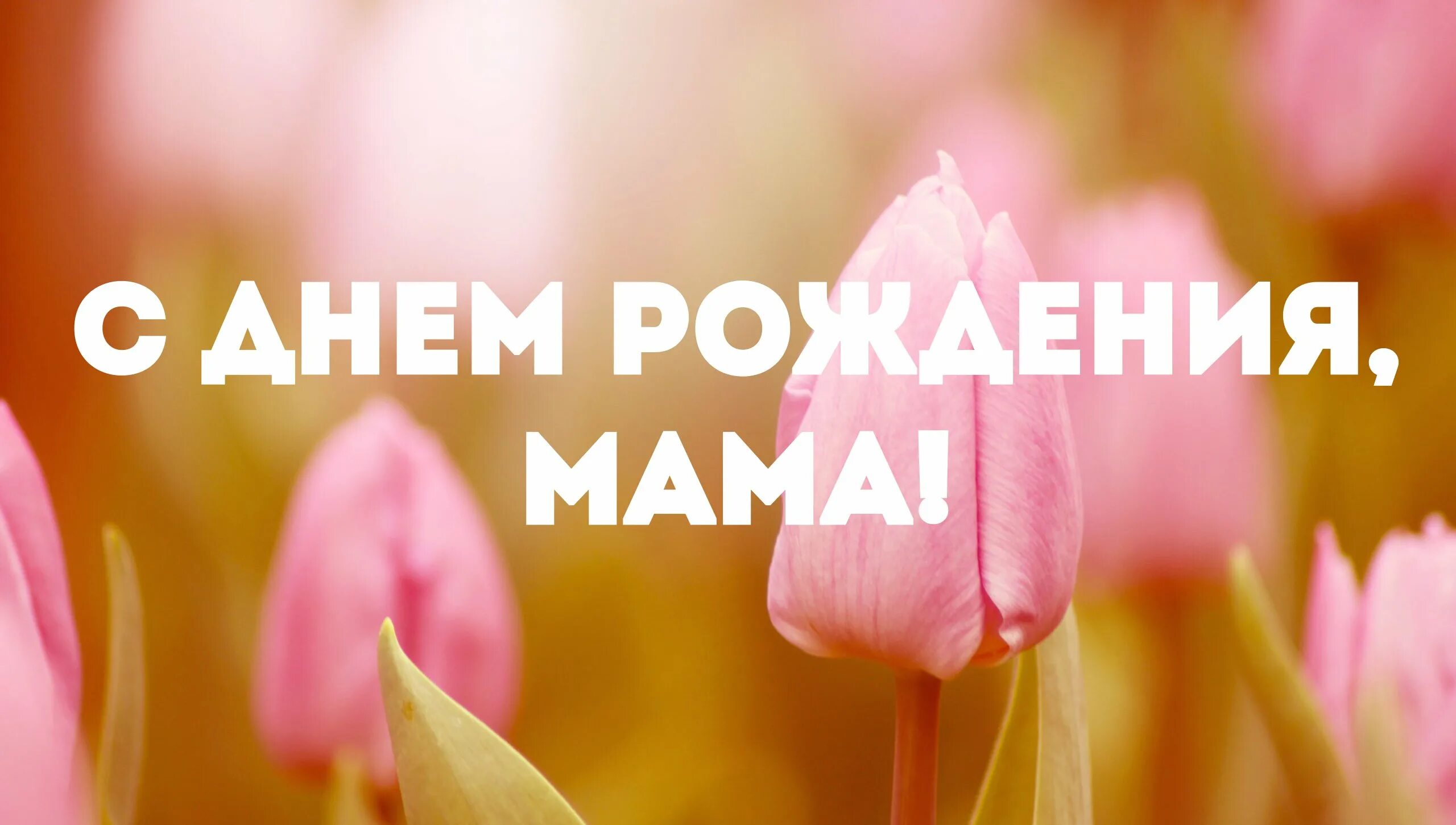 Желаю твоей мамочке. День рождения мамы. Поздравления с днём рождения маме. Поздравления с днем рожления мам. С днем рождения лама.