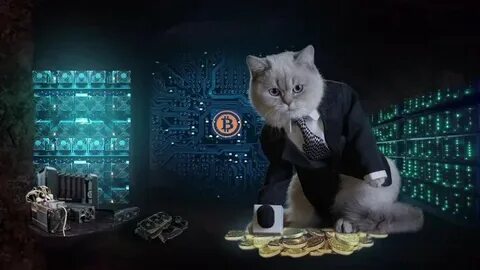 Биткоин кетс