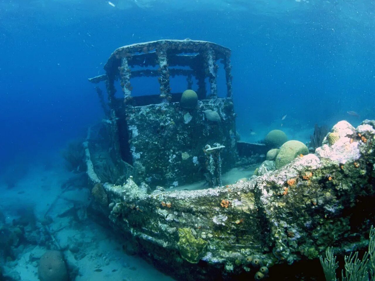 Дно рождения 2023. Корабль SS Thistlegorm, красное море. Тистельгорм затонувший корабль. Корабль Рио Гранде затонувший. Затонувший корабль Варна.