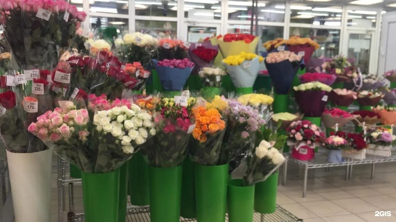 цветоптторг спб каталог. цветоптторг спб. цветоптторг алоэ. цветоптторг логотип. цветоптторг спб.