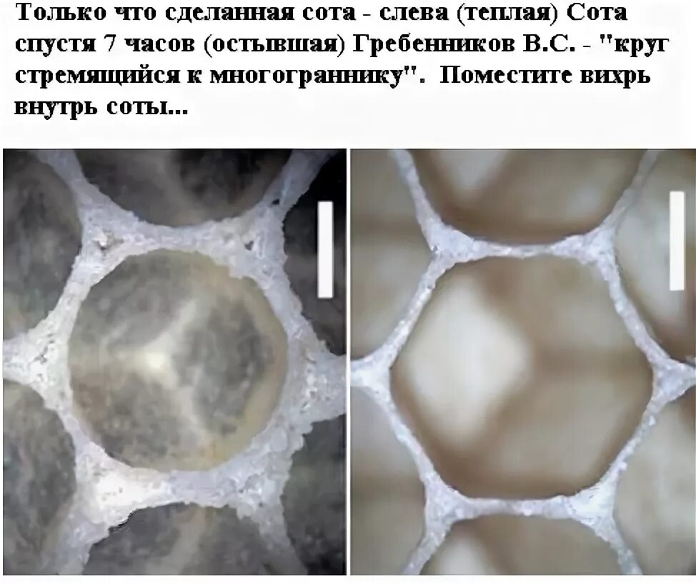 Сколько граней в одной ячейке пчелиных сот. Размеры ячеек пчелиной ячейки. размер пчелиных сот. размер пчелиной соты. типы ячеек пчелиного сота.