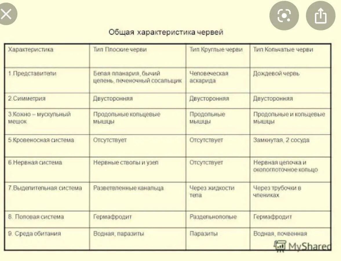 Дать характеристику кольчатым червям. Плоские круглые и кольчатые черви таблица. Плоские и круглые черви таблица 7 класс. Системы кольчатых червей таблица. Таблица черви 7 класс биология плоские круглые кольчатые черви.