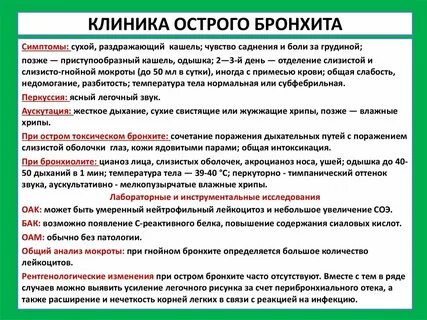 Бронхит симптомы у человека