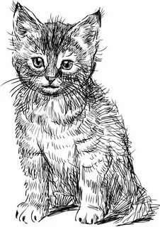 Где нарисован котенок