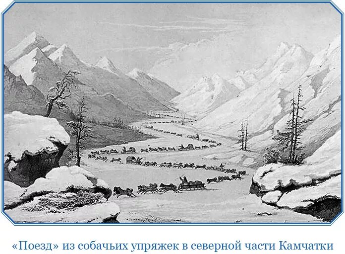 Исследование Сибири Крашенинников. Крашенинников описание земли Камчатки 1755.