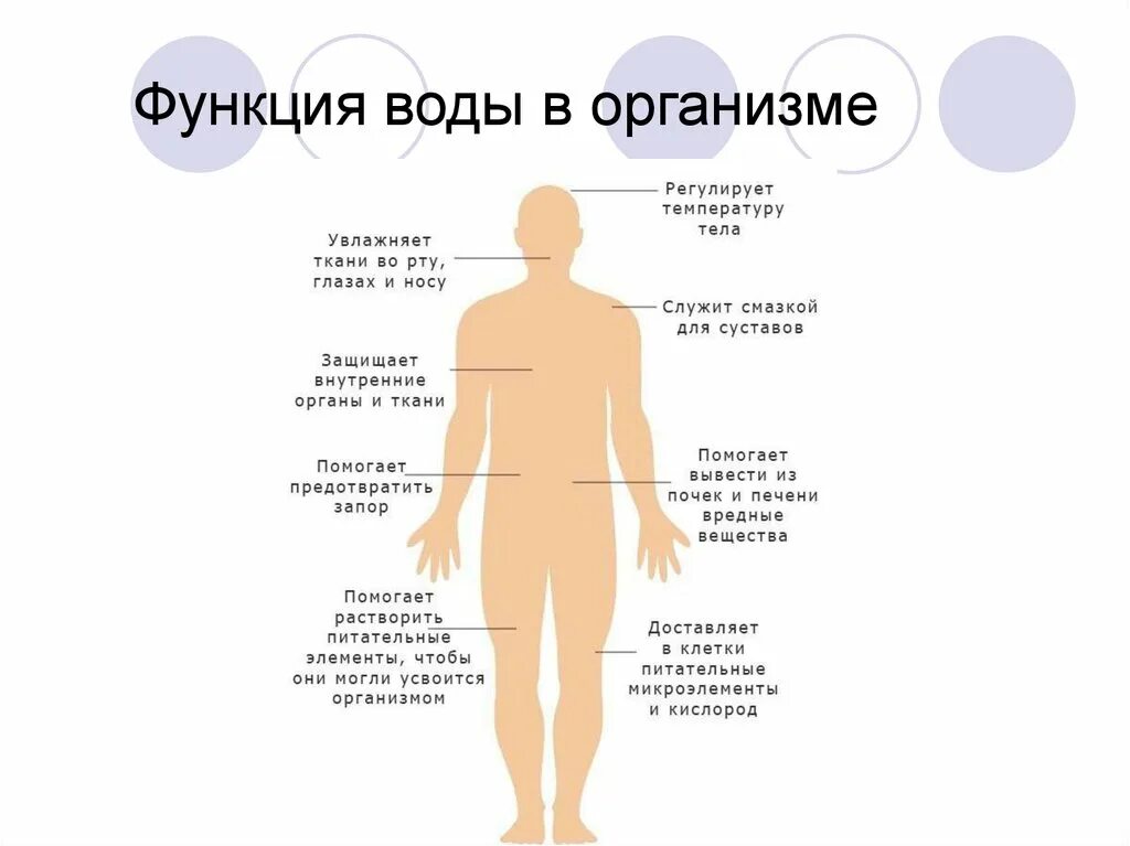 Функции воды в организме человека схема. Вода функции воды в организме. Функция воды в организме человека кратко и понятно. Функции воды в организме человека кратко. Повышение воды в организме