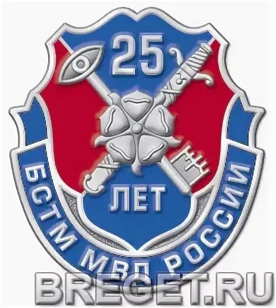 25 лет бстм медаль. Специальных технических мероприятий. Бстм 2022. Отдел к бстм. Отдел к бстм.