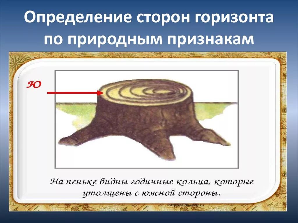 По каким признакам определяют горизонт. По каким признакам определяют горизонт