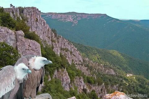 Животный заповедник крыма