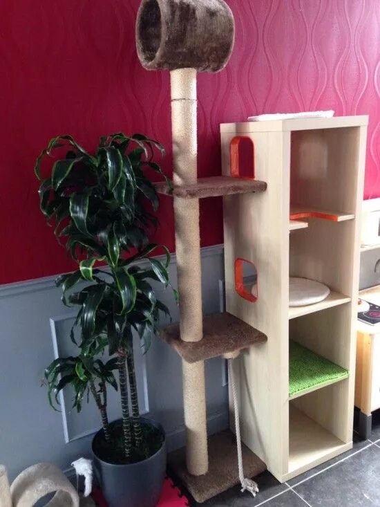 Cat playground