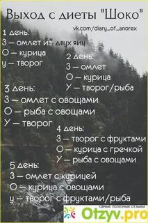 Шоко диета это
