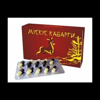 Кабарга мускус
