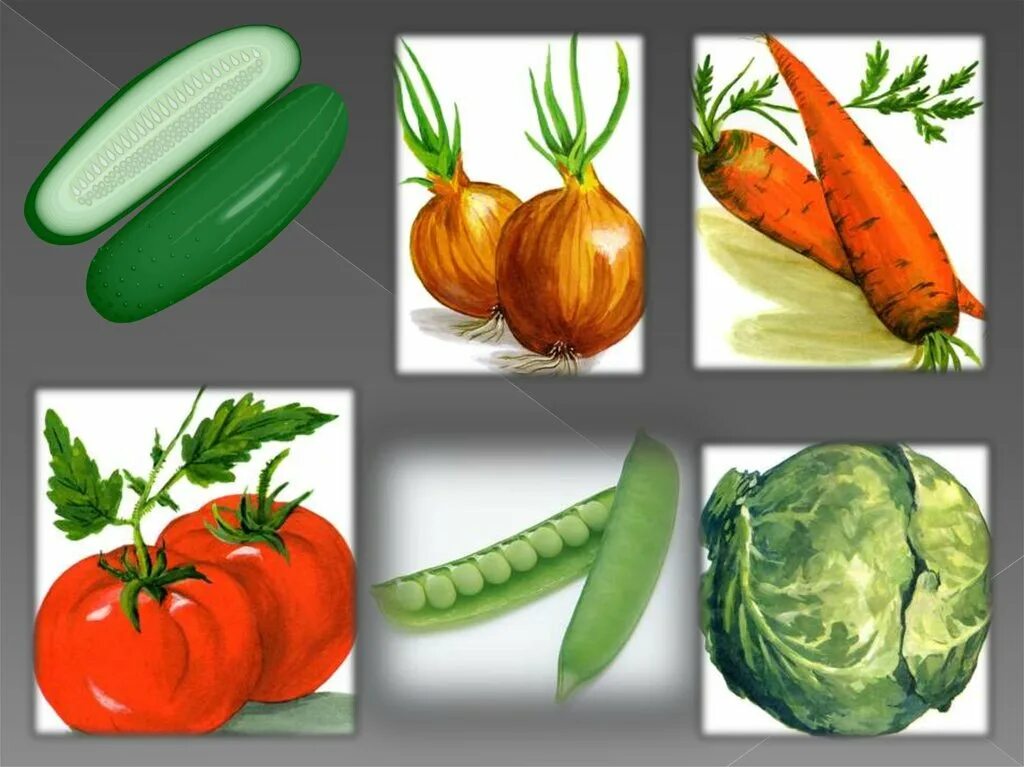 Овощи картинки для детей. Овощи для детей. Овощи для дошкольников. Овощи для детей цветные. Овощи для садика.