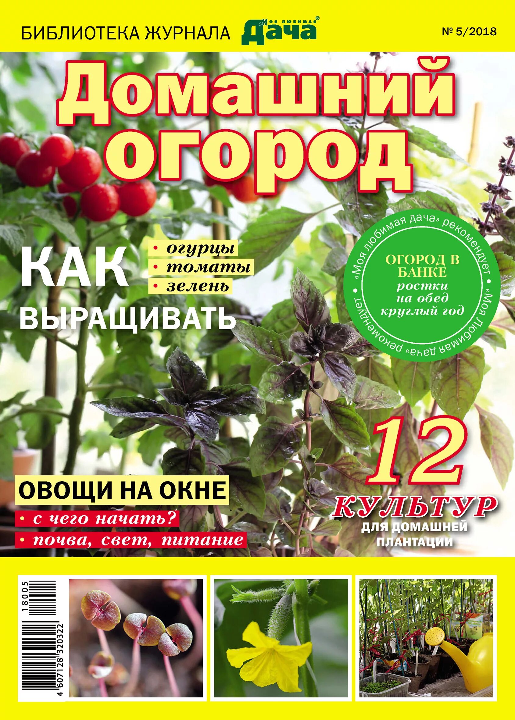 Обложка журнала сад и огород. Журнал сад. Журналы дача огород. Моя любимая дача журнал. Журнал дачная жизнь.