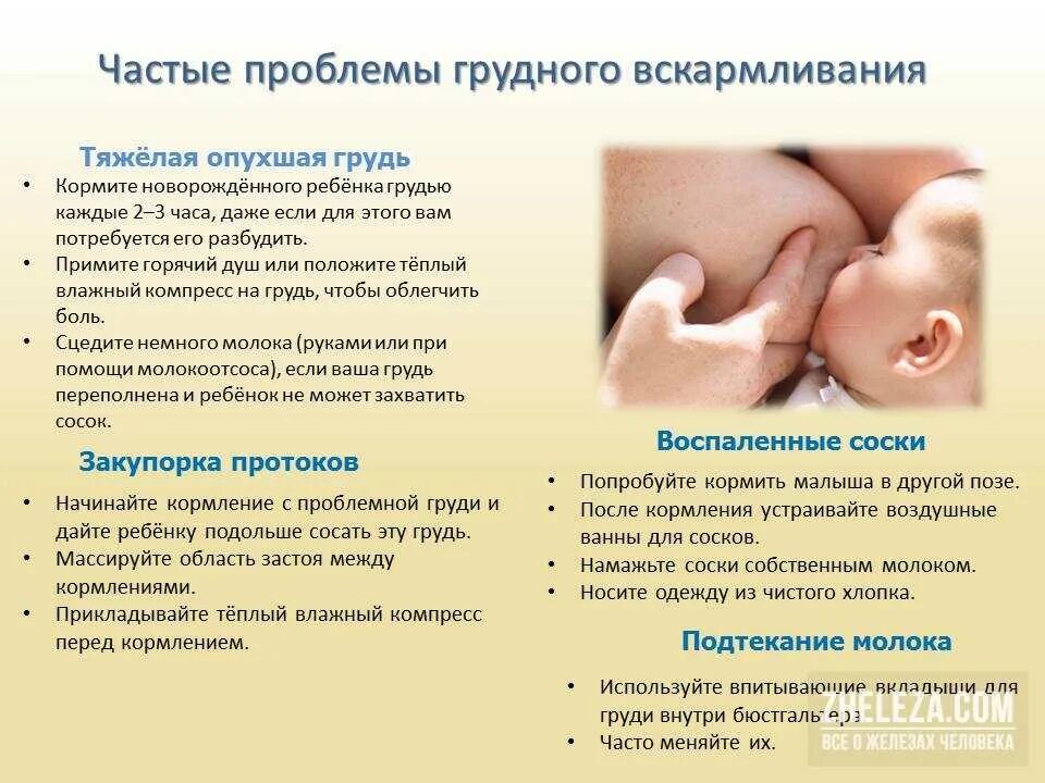 Лактостаз форум